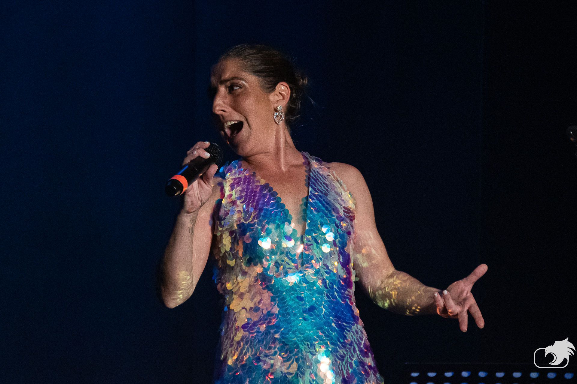 Odoo • Texto e imagen